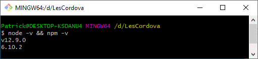 Controleer node.js